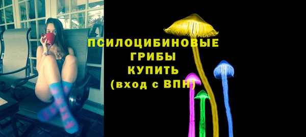 COCAINE Богородск